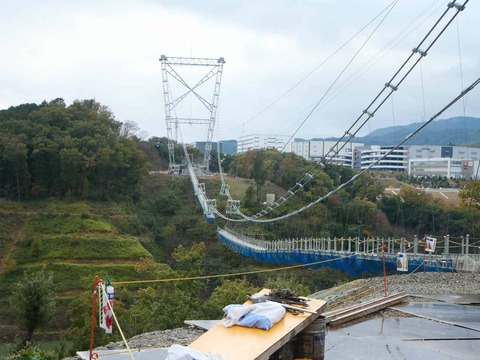 20241124吊り橋 (10)