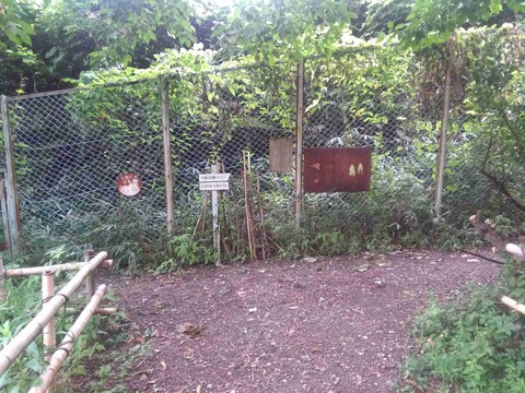 abuyamakohun11