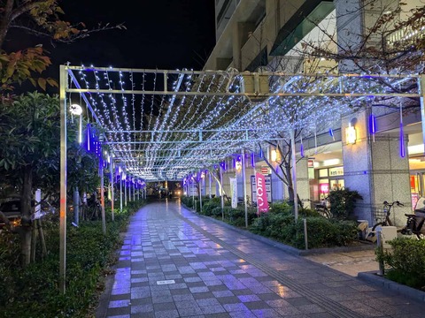 20241118アクトアモーレイルミ (3)