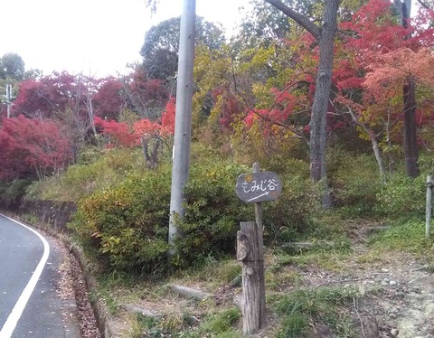 settukyo201811_4