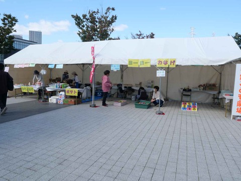20241020都市緑化フェア (27)