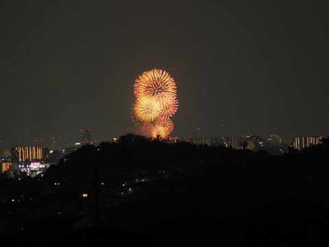 20220827なにわ淀川花火 (152)
