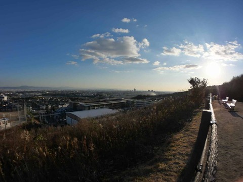 20260109彩都 (11)