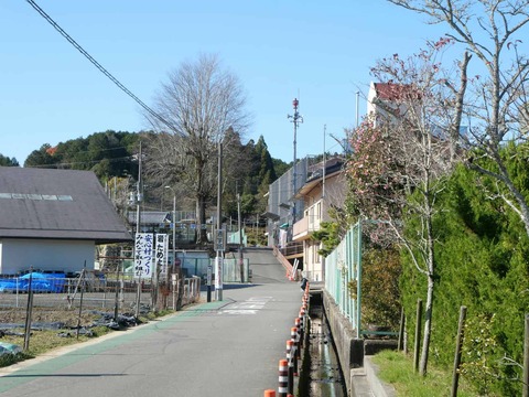 20241207府道6号紅葉 (31)