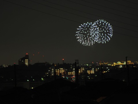 20221126万博花火 (2)