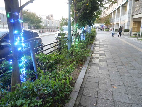 20251101アルプラザ (7)