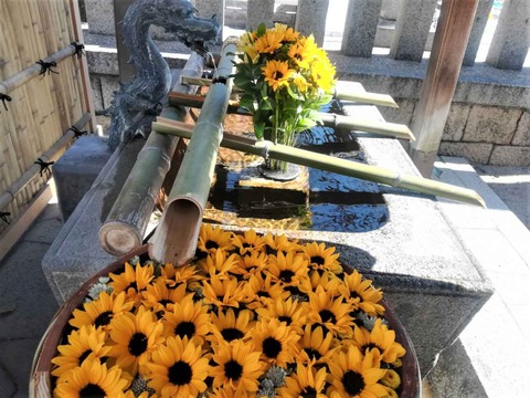 20230205野見神社 (6)