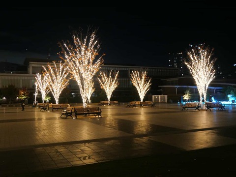 20241130安満関公園 (7)