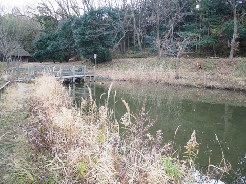 20220129西の川原梅 (1)