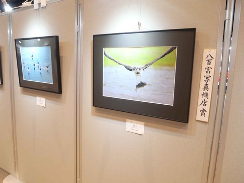 20240921高槻市美術展 (49)