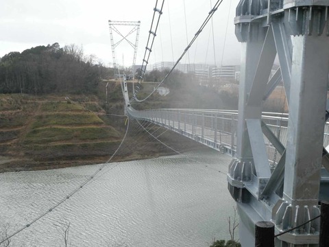 20250317吊り橋 (131)