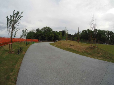 20240423ダムパークいばきた (15)