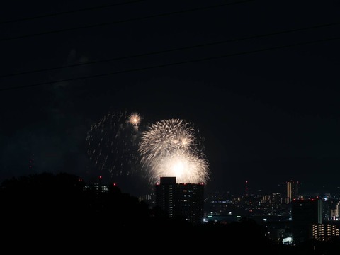 20240815くらわんか花火 (8)