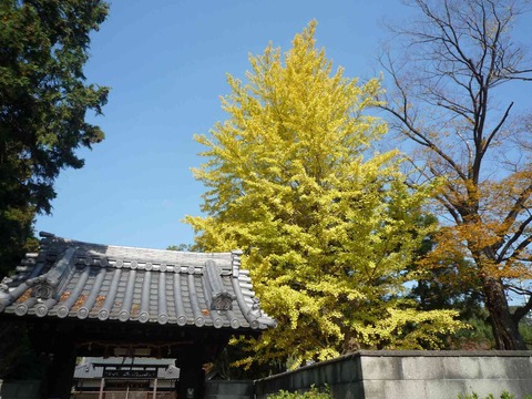 kouyo2017_11