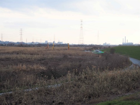 20220127淀川橋 (2)