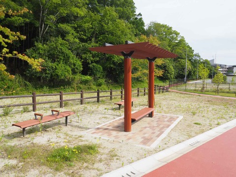 20230528金龍寺川公園 (11)