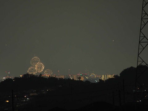 20220827なにわ淀川花火 (5)