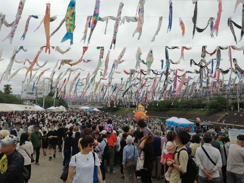 20240429こいのぼりフェスタ (31)