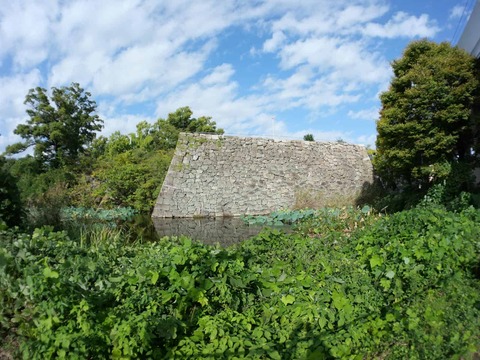 20241104淀城 (4)