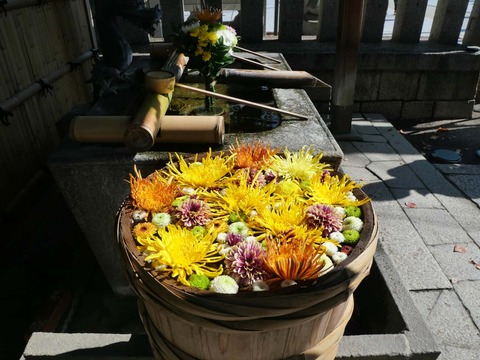 20241103野見神社 (3)