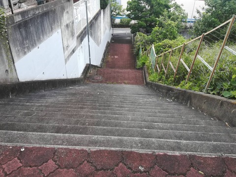 20230712階段真上 (3)