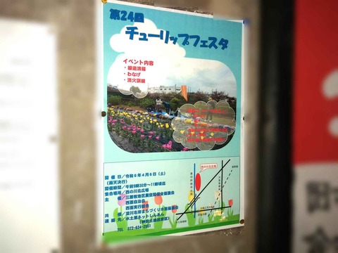 20240308チューリップフェスタ