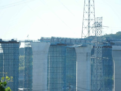 20250927新名神国道堤防 (55)