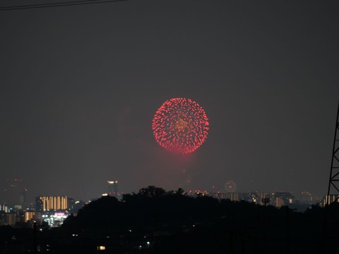 20240803なにわ淀川花火 (8)