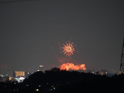 20240803なにわ淀川花火 (16)