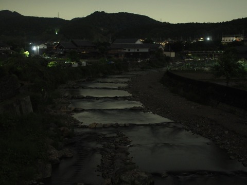 20240517ホタル (6)