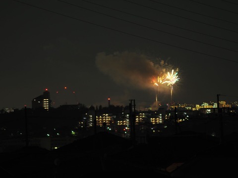 20221126万博花火 (13)