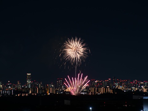 20240808辨天花火 (25)