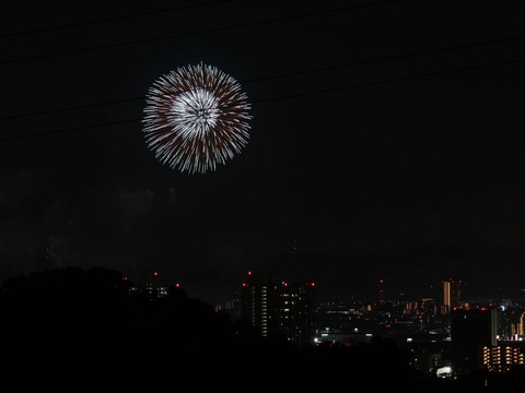 20240815くらわんか花火 (2)