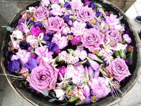 20241022野見神社 (4)