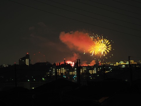 20221126万博花火 (11)