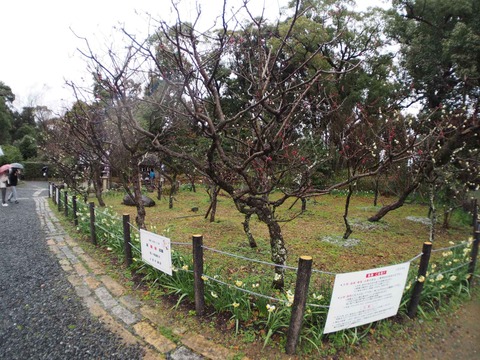 20240225天神まつり (79)