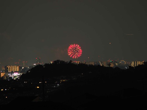 20220827なにわ淀川花火 (104)