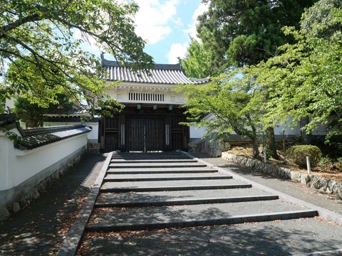 20240818園田城 (89)