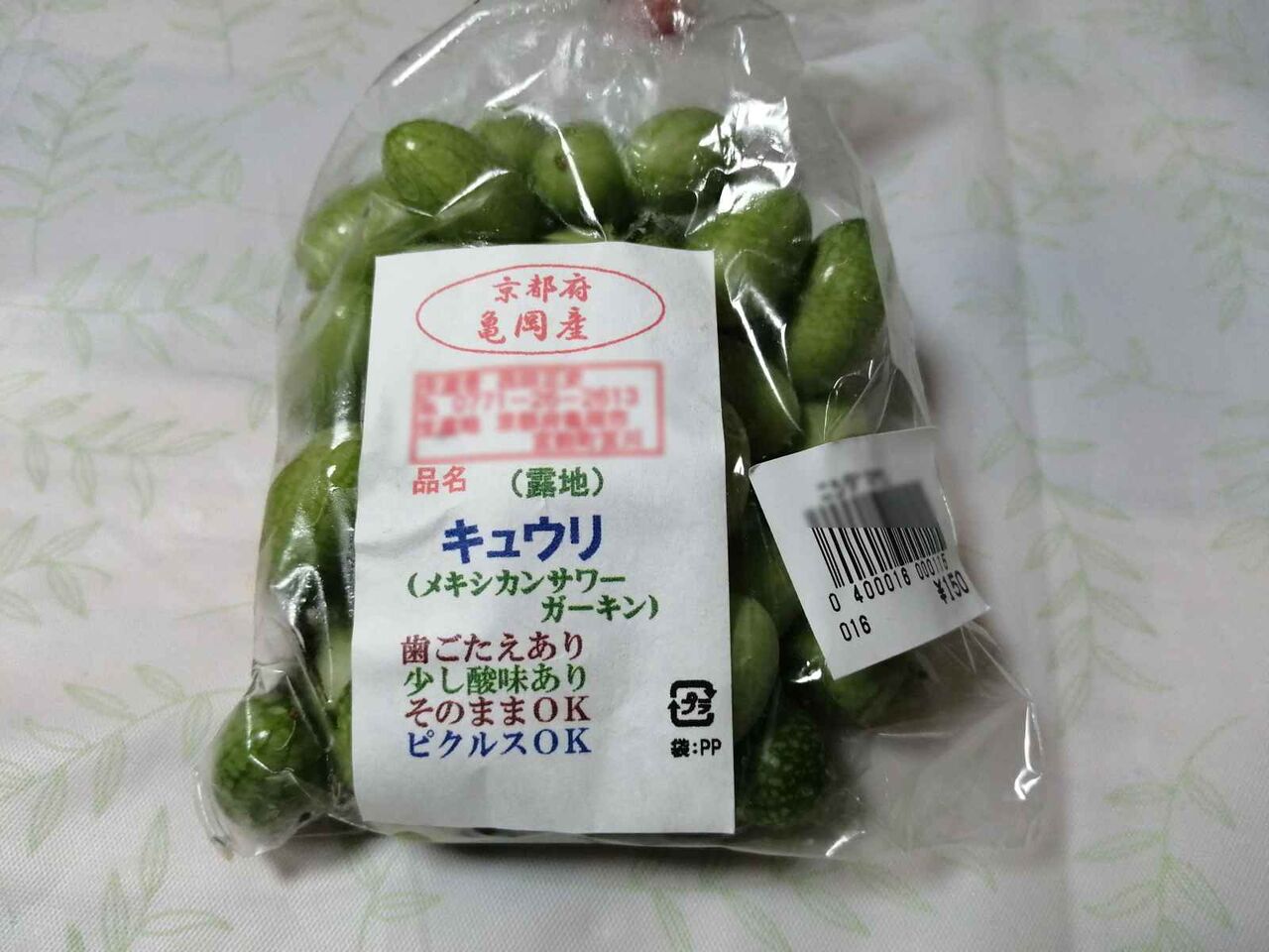 高槻の食材 その６０ 森林センターで見つけた謎のきゅうり メキシカンサワーガーキン 高槻network新聞