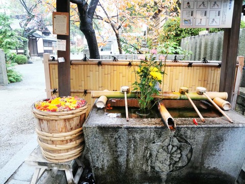 20241126野見神社 (1)