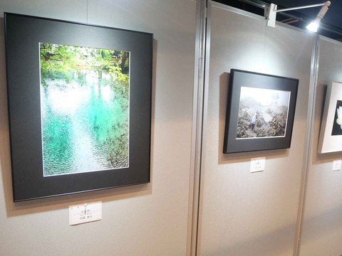 20240921高槻市美術展 (54)