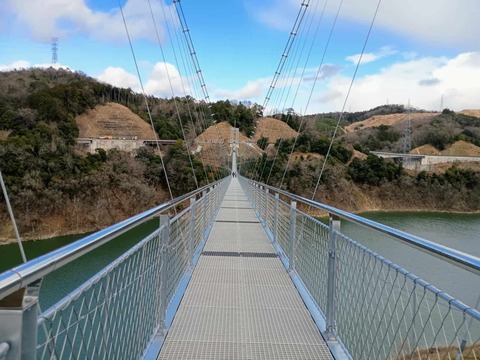 20250317吊り橋 (7)