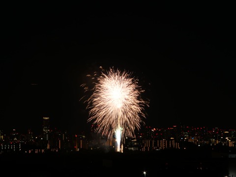 20240808辨天花火 (53)