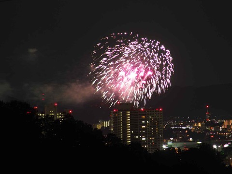 20230917水都くらわんか (10)