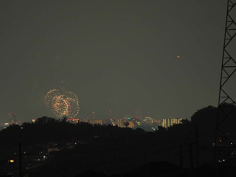 20220827なにわ淀川花火 (11)