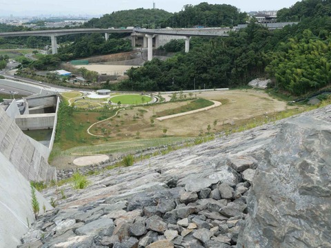 20240819安威川ダム (39)