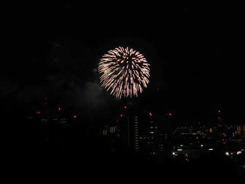 20230917水都くらわんか (28)