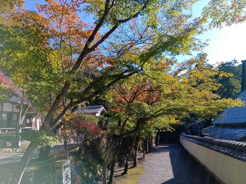 20251029神峯山寺 (10)