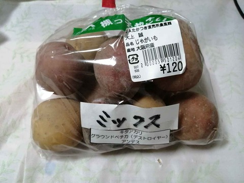202200908じゃがいも (2)