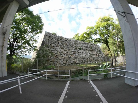 20241104淀城 (8)